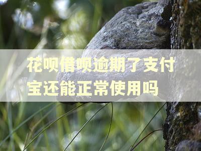 花呗借呗逾期了支付宝还能正常使用吗
