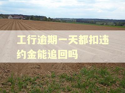工行逾期一天都扣违约金能追回吗