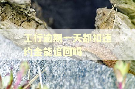 工行逾期一天都扣违约金能追回吗