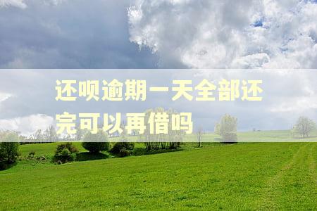 还呗逾期一天全部还完可以再借吗