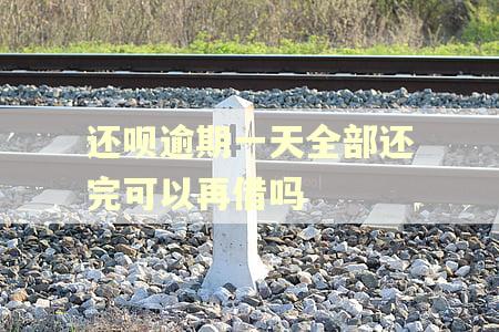 还呗逾期一天全部还完可以再借吗