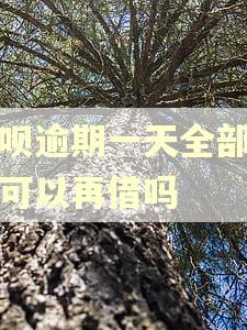 还呗逾期一天全部还完可以再借吗 还呗逾期一天全部还完可以再借吗