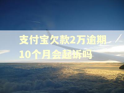 支付宝欠款2万逾期10个月会起诉吗