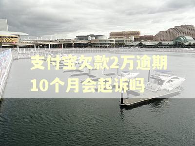 支付宝欠款2万逾期10个月会起诉吗
