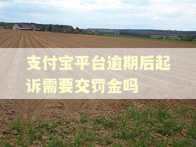 支付宝平台逾期后起诉需要交罚金吗