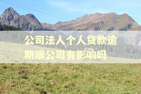 公司法人个人贷款逾期跟公司有影响吗