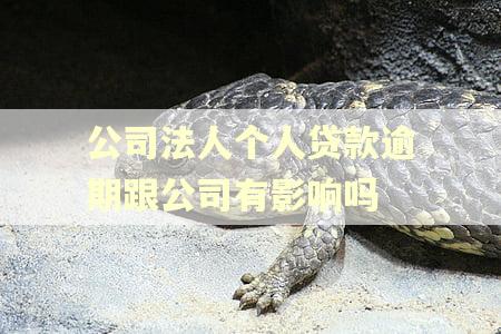 公司法人个人贷款逾期跟公司有影响吗