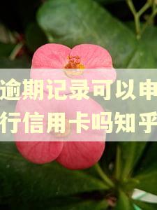 有逾期记录可以申请农行信用卡吗知乎