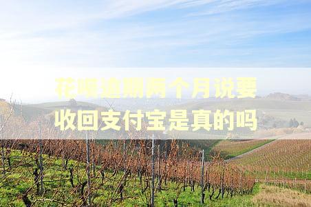 花呗逾期两个月说要收回支付宝是真的吗