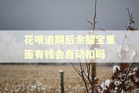 花呗逾期后余额宝里面有钱会自动扣吗