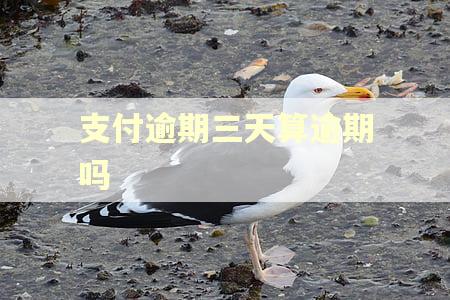 支付逾期三天算逾期吗