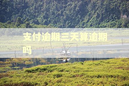支付逾期三天算逾期吗
