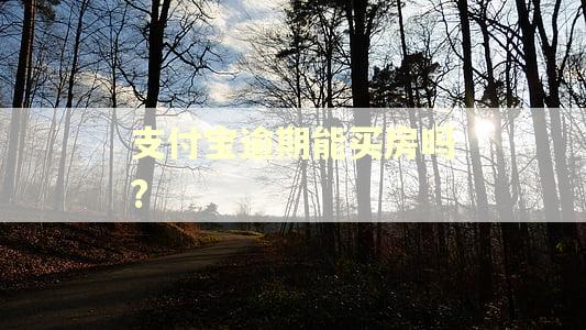 支付宝逾期能买房吗?
