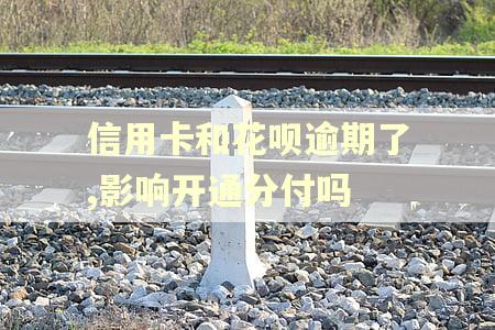 信用卡和花呗逾期了,影响开通分付吗