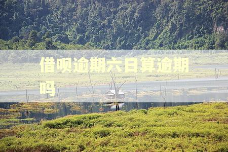 借呗逾期六日算逾期吗