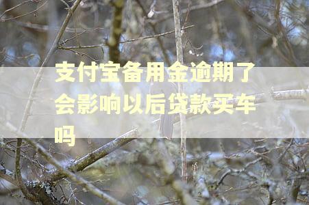 支付宝备用金逾期了会影响以后贷款买车吗