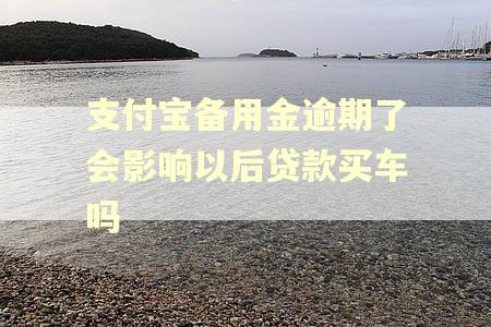 支付宝备用金逾期了会影响以后贷款买车吗