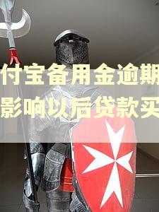 支付宝备用金逾期了会影响以后贷款买车吗