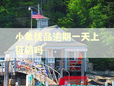 小象优品逾期一天上征信吗