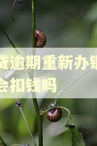 网贷逾期重新办银行卡会扣钱吗