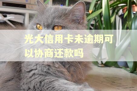 光大信用卡未逾期可以协商还款吗
