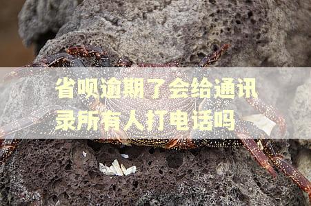 省呗逾期了会给通讯录所有人打电话吗