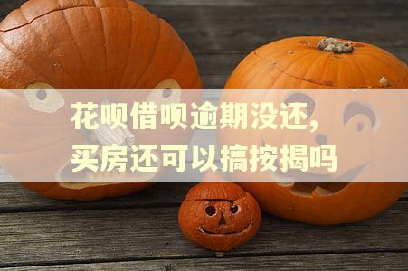 花呗借呗逾期没还,买房还可以搞按揭吗