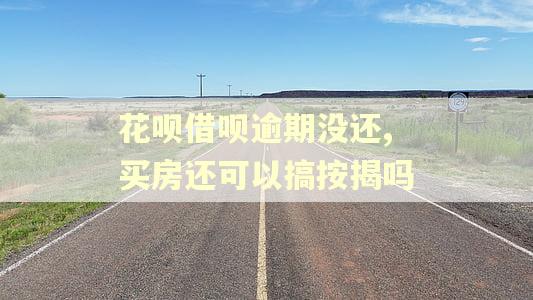 花呗借呗逾期没还,买房还可以搞按揭吗