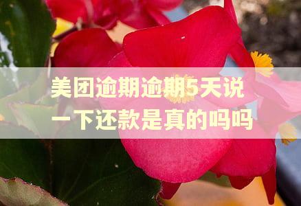 美团逾期逾期5天说一下还款是真的吗吗