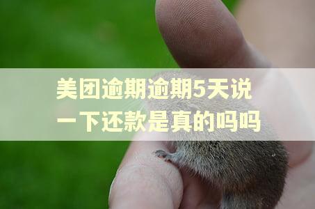 美团逾期逾期5天说一下还款是真的吗吗