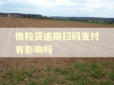 微粒贷逾期扫码支付有影响吗 微粒贷逾期扫码支付有影响吗