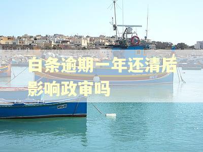 白条逾期一年还清后影响政审吗
