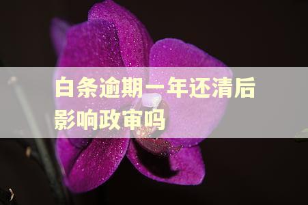 白条逾期一年还清后影响政审吗