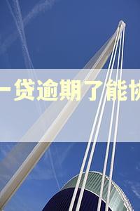 新一贷逾期了能协商吗