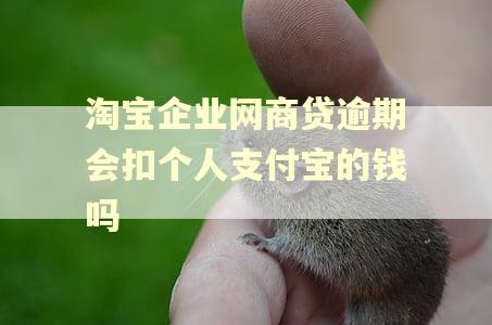 淘宝企业网商贷逾期会扣个人支付宝的钱吗