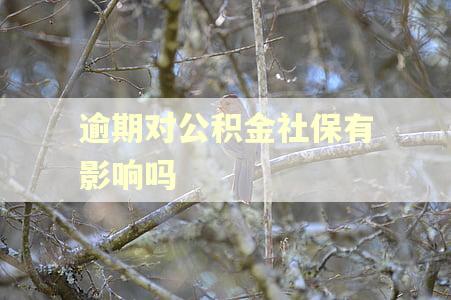 逾期对公积金社保有影响吗