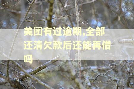 美团有过逾期,全部还清欠款后还能再借吗