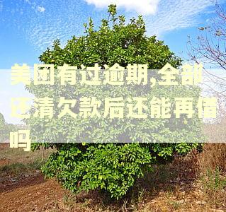美团有过逾期,全部还清欠款后还能再借吗