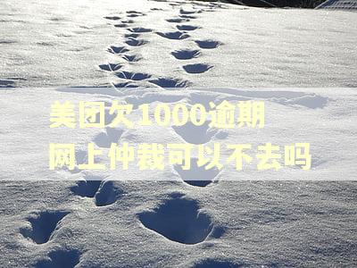 美团欠1000逾期网上仲裁可以不去吗