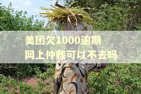 美团欠1000逾期网上仲裁可以不去吗