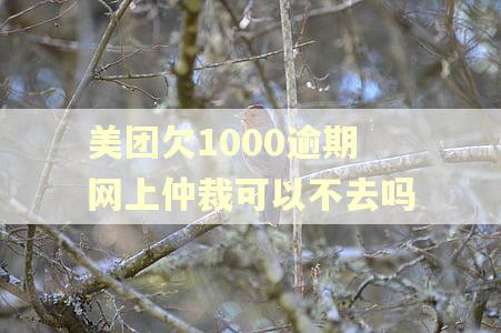美团欠1000逾期网上仲裁可以不去吗
