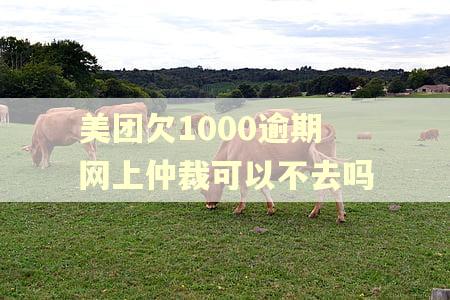美团欠1000逾期网上仲裁可以不去吗 美团欠1000逾期网上仲裁可以不去吗