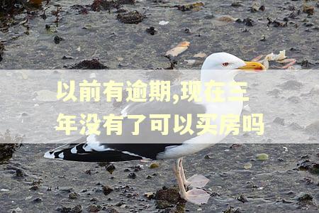 以前有逾期,现在三年没有了可以买房吗