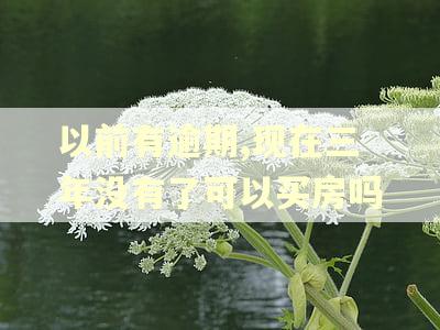 以前有逾期,现在三年没有了可以买房吗