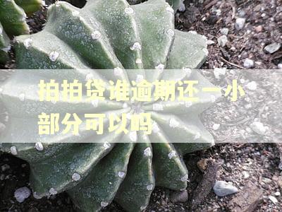 拍拍贷谁逾期还一小部分可以吗