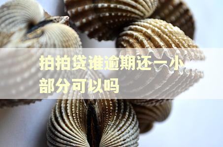 拍拍贷谁逾期还一小部分可以吗