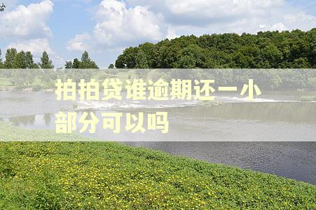 拍拍贷谁逾期还一小部分可以吗