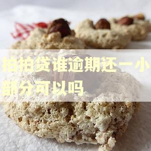 拍拍贷谁逾期还一小部分可以吗 拍拍贷谁逾期还一小部分可以吗