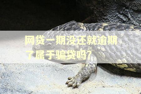 网贷一期没还就逾期了属于骗贷吗?