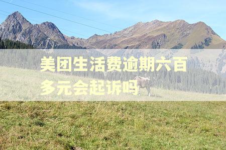 美团生活费逾期六百多元会起诉吗